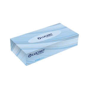 Facial Tissues 2ply White - 100 Tissues Per Box (Case/36)